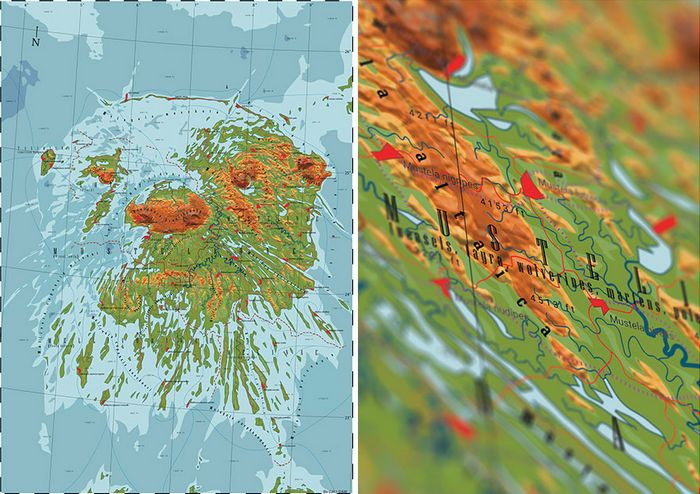 29 mapas em homenagem à natureza e aos animais 7