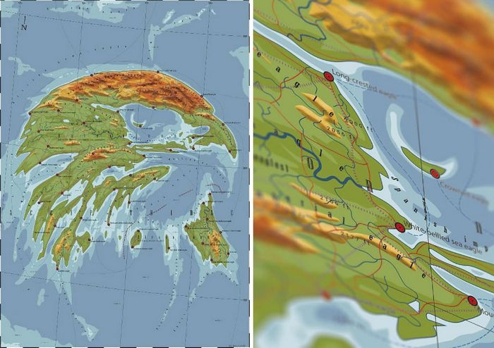29 mapas em homenagem à natureza e aos animais 9 29 mapas em homenagem à natureza e aos animais 9