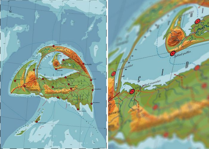 29 mapas em homenagem à natureza e aos animais 13