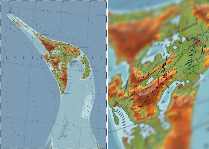 29 mapas em homenagem à natureza e aos animais 17