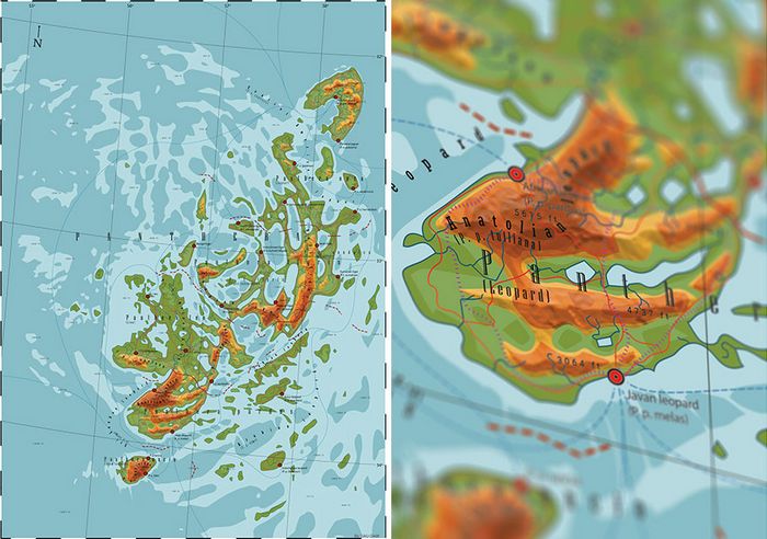 29 mapas em homenagem à natureza e aos animais 19