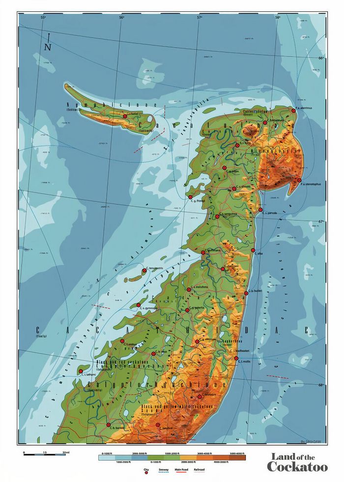 29 mapas em homenagem à natureza e aos animais 28