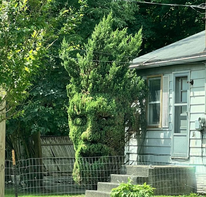 19 pessoas provaram que a criatividade não deixa espaço para o tédio 13