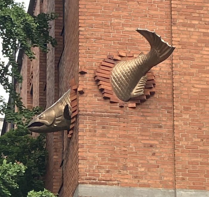 19 pessoas provaram que a criatividade não deixa espaço para o tédio 14