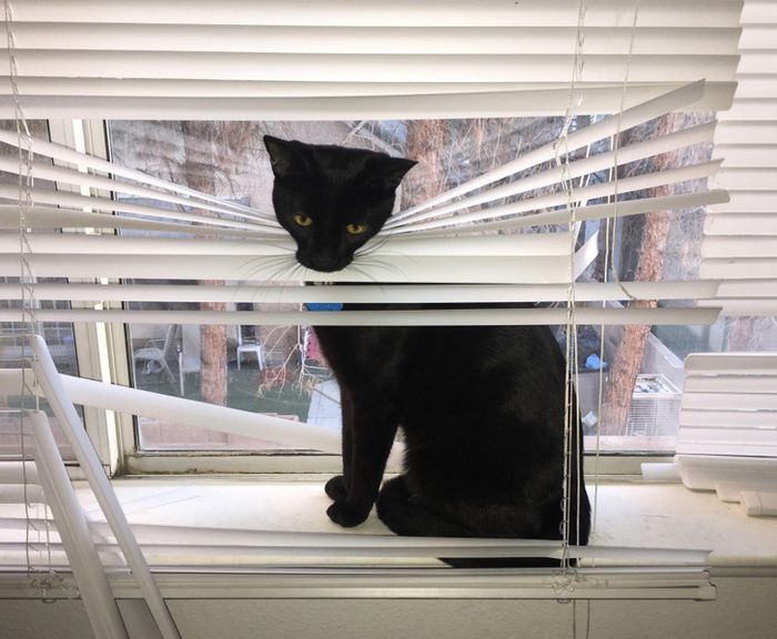 18 pessoas que podem se gabar de ter nervos de aço 5