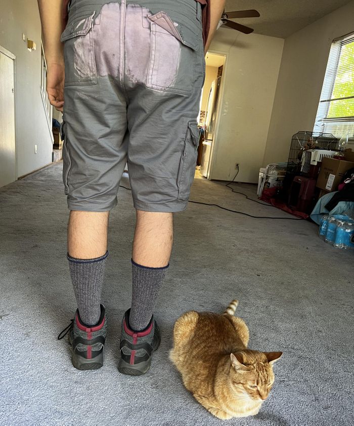 18 pessoas que podem se gabar de ter nervos de aço 8