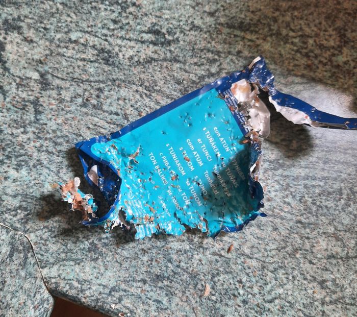 18 pessoas que podem se gabar de ter nervos de aço 11