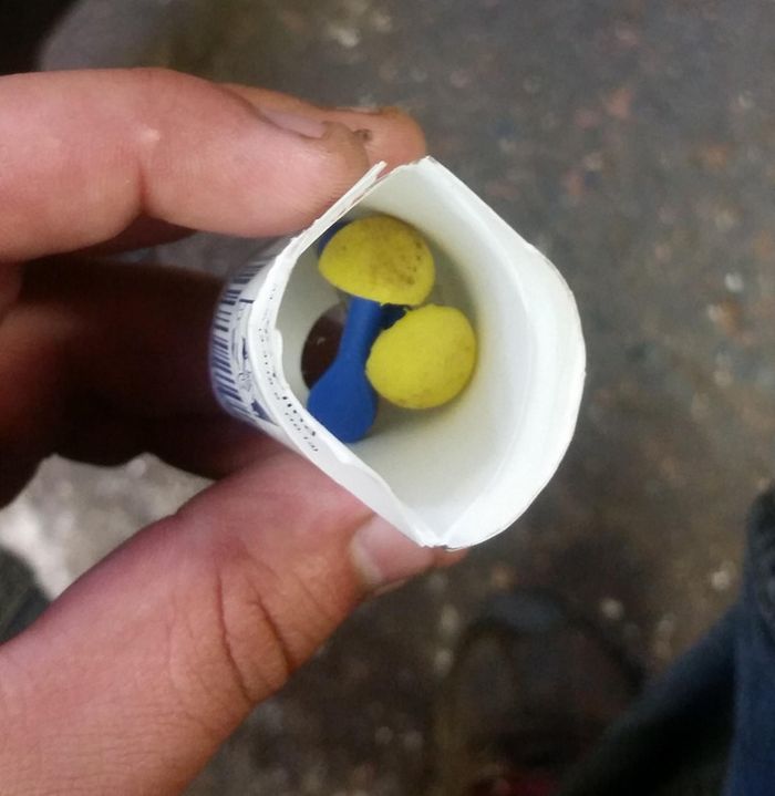 22 pessoas que realmente gostariam de recomeçar seu dia 3