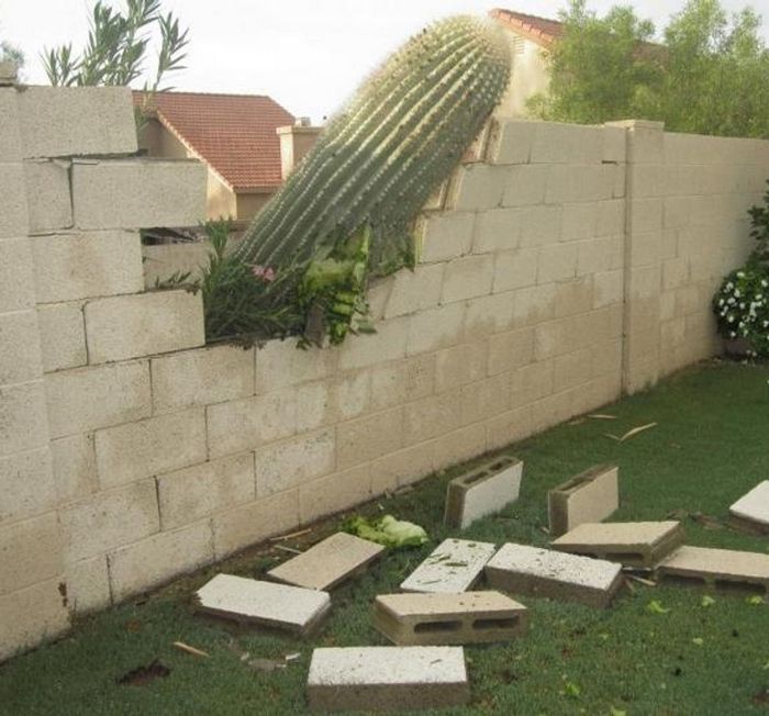 22 pessoas que realmente gostariam de recomeçar seu dia 5