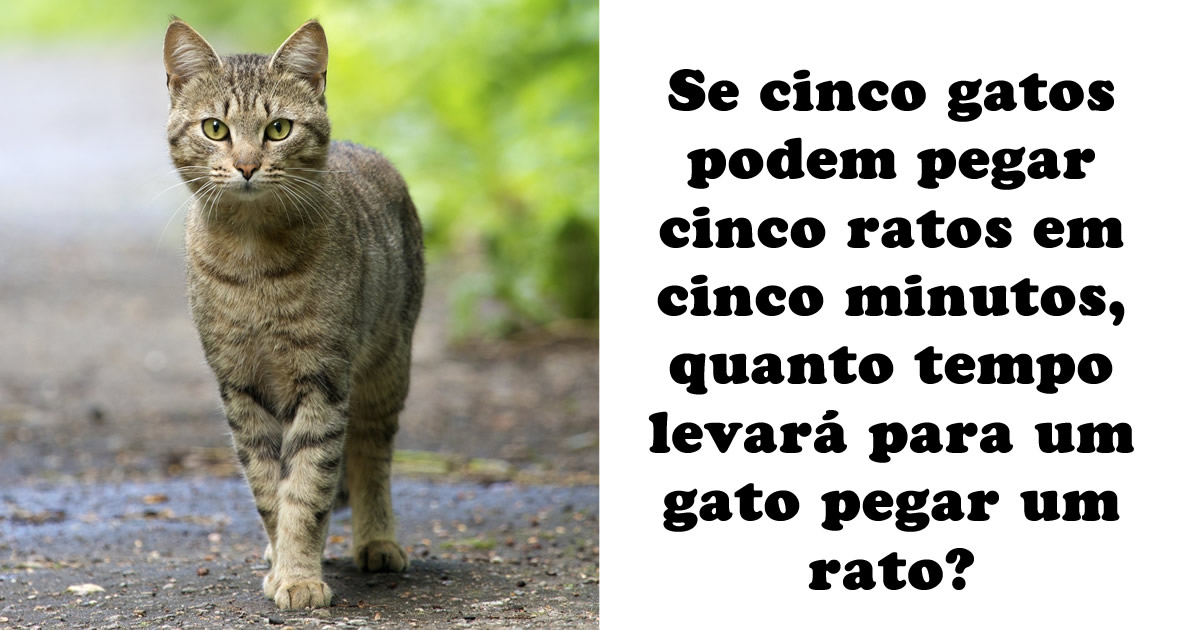 15 quebra-cabeças lógicos para manter você e seus amigos ocupados 1