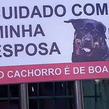 O que é o cão perto da minha esposa