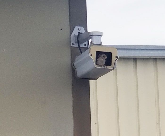 23 vezes que as medidas de segurança não foram muito bem pensadas 2