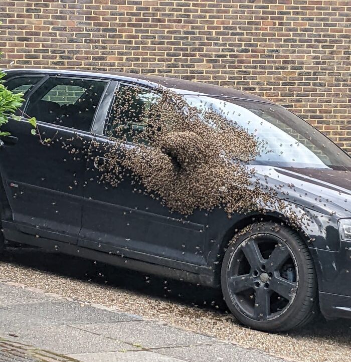 25 vezes que as pessoas experimentaram um dia de azar 8