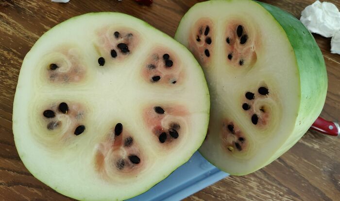 25 vezes que as pessoas experimentaram um dia de azar 12