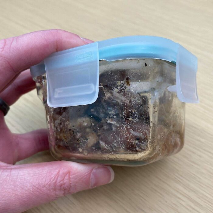 25 vezes que as pessoas experimentaram um dia de azar 13