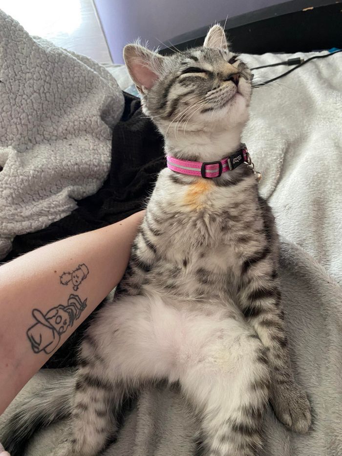 18 amigos fofos que sabem como trazer um sorriso ao seu rosto 6