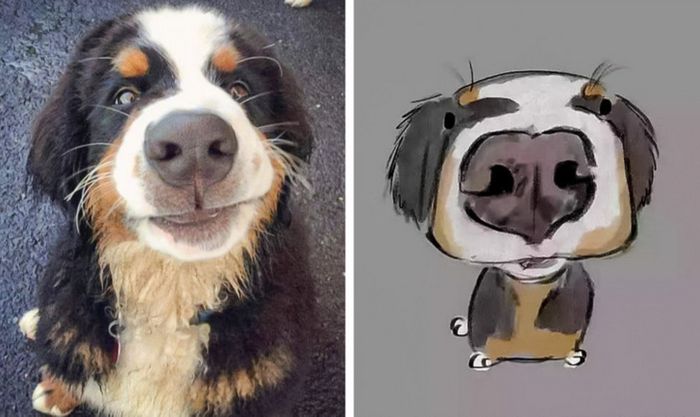 18 amigos fofos que sabem como trazer um sorriso ao seu rosto 10