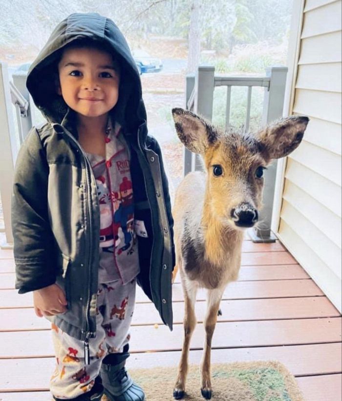 18 amigos fofos que sabem como trazer um sorriso ao seu rosto 18