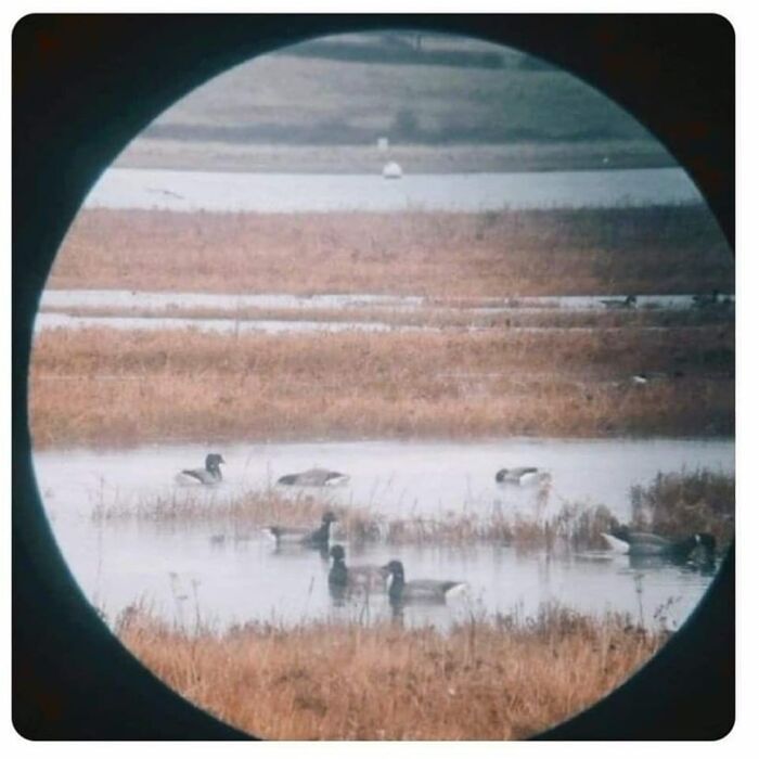 45 coisas mais oníricas observadas na vida real 11