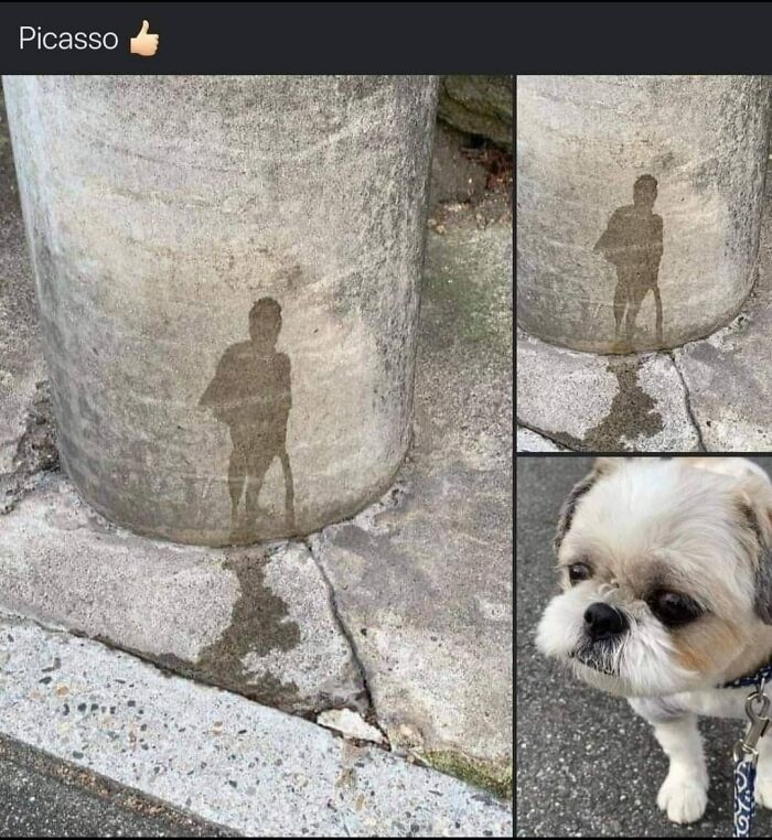 45 coisas mais oníricas observadas na vida real 22