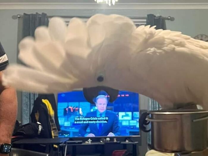 45 coisas mais oníricas observadas na vida real 24