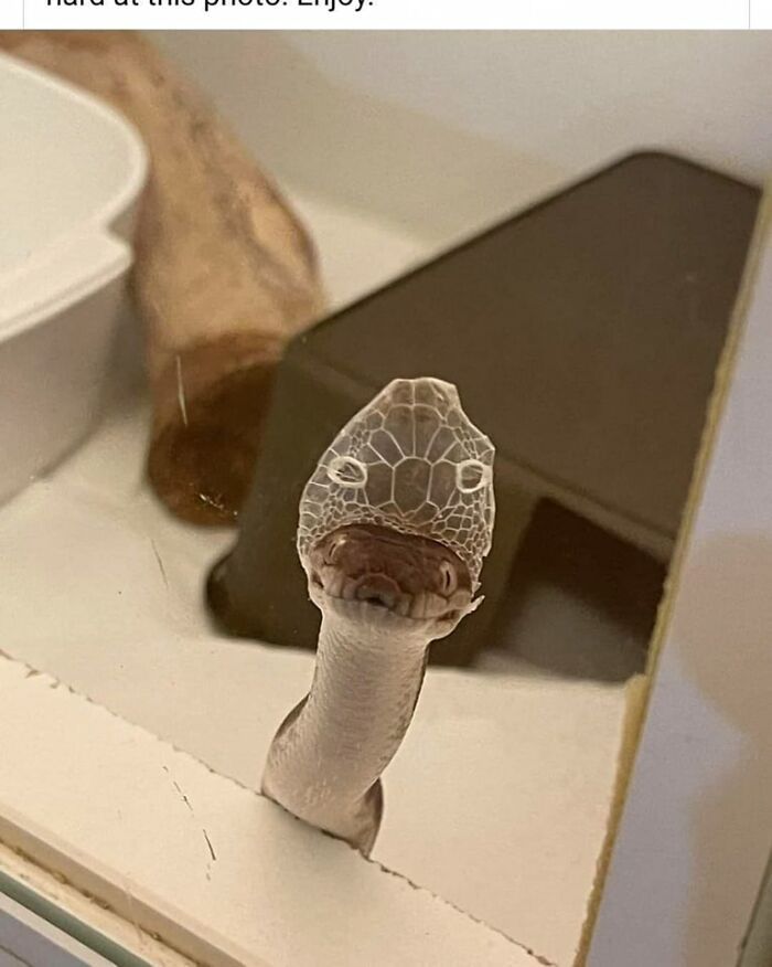 45 coisas mais oníricas observadas na vida real 27