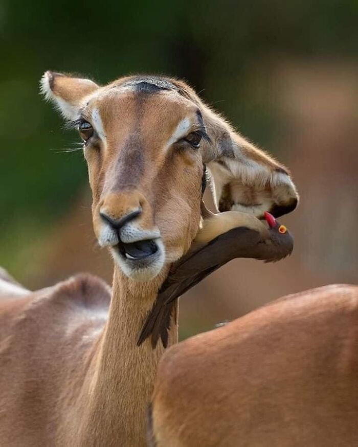 45 coisas mais oníricas observadas na vida real 28