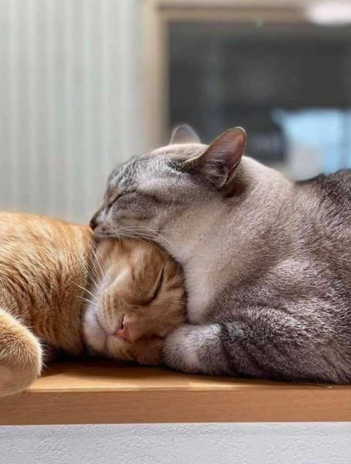 45 coisas mais oníricas observadas na vida real 32