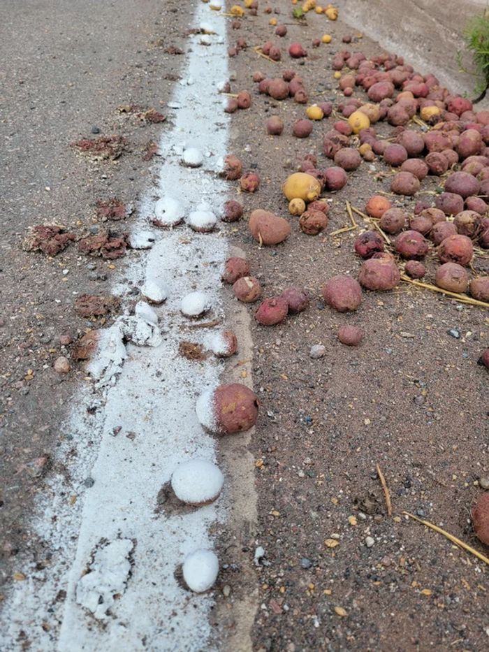 18 estagiários que tem uma preguiça maior que o mundo 3