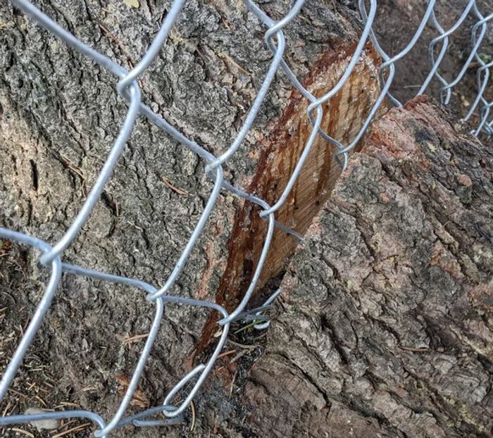 18 estagiários que tem uma preguiça maior que o mundo 8