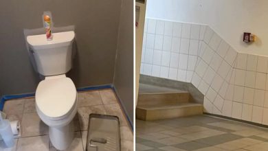 18 estagiários que tem uma preguiça maior que o mundo 13