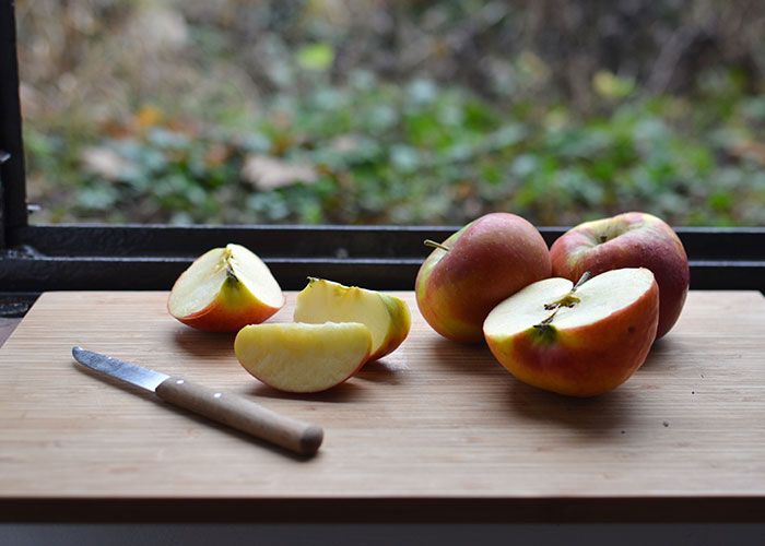 17 fatos verdadeiros que parecem mentiras 16