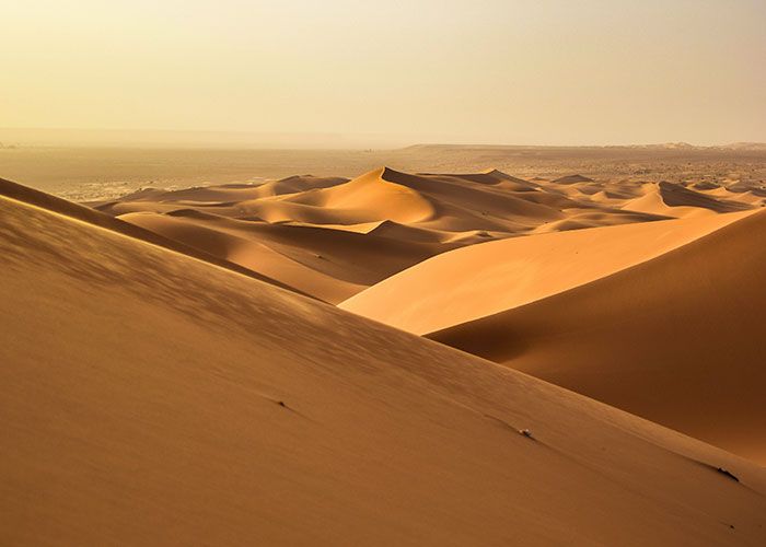 17 fatos verdadeiros que parecem mentiras 17