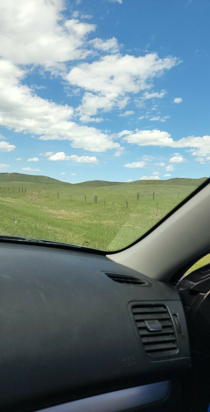 32 fotos da natureza levemente interessantes para divertir você durante sua pausa para o café 5