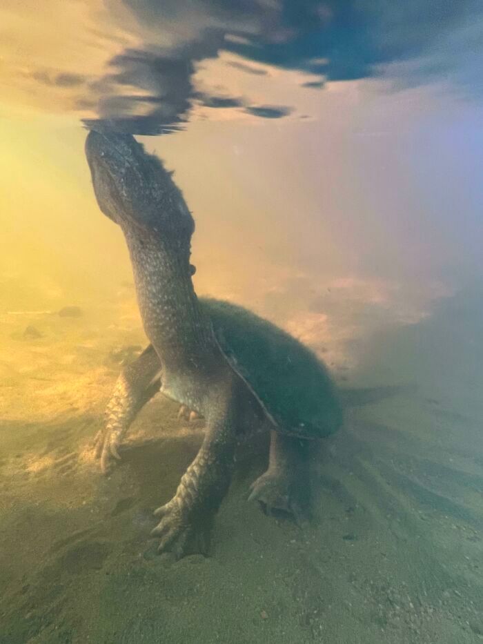 32 fotos da natureza levemente interessantes para divertir você durante sua pausa para o café 11