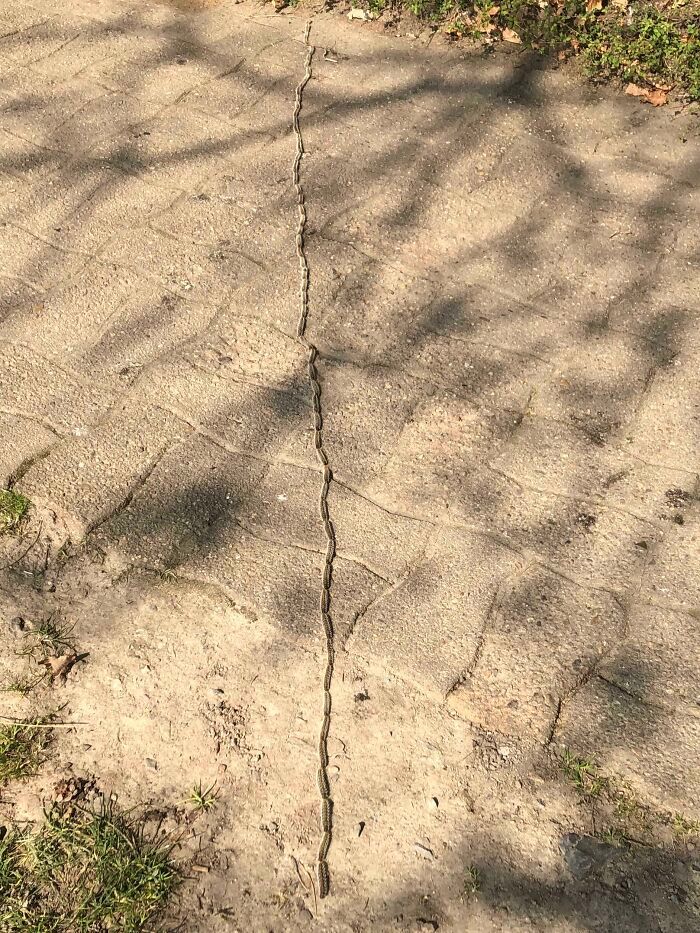 32 fotos da natureza levemente interessantes para divertir você durante sua pausa para o café 13