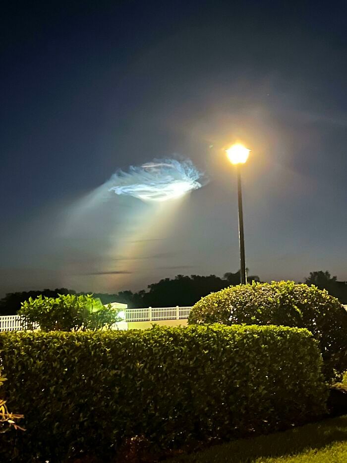 32 fotos da natureza levemente interessantes para divertir você durante sua pausa para o café 14