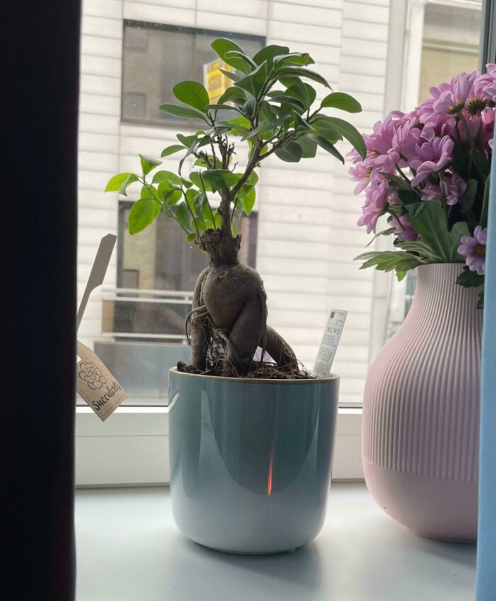 32 fotos da natureza levemente interessantes para divertir você durante sua pausa para o café 20