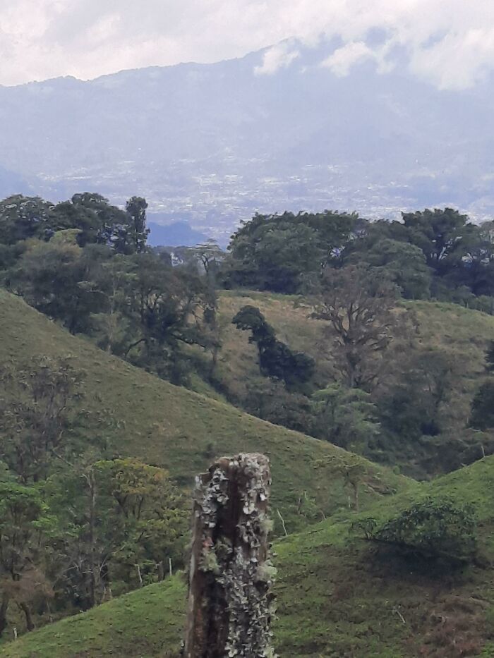 32 fotos da natureza levemente interessantes para divertir você durante sua pausa para o café 30