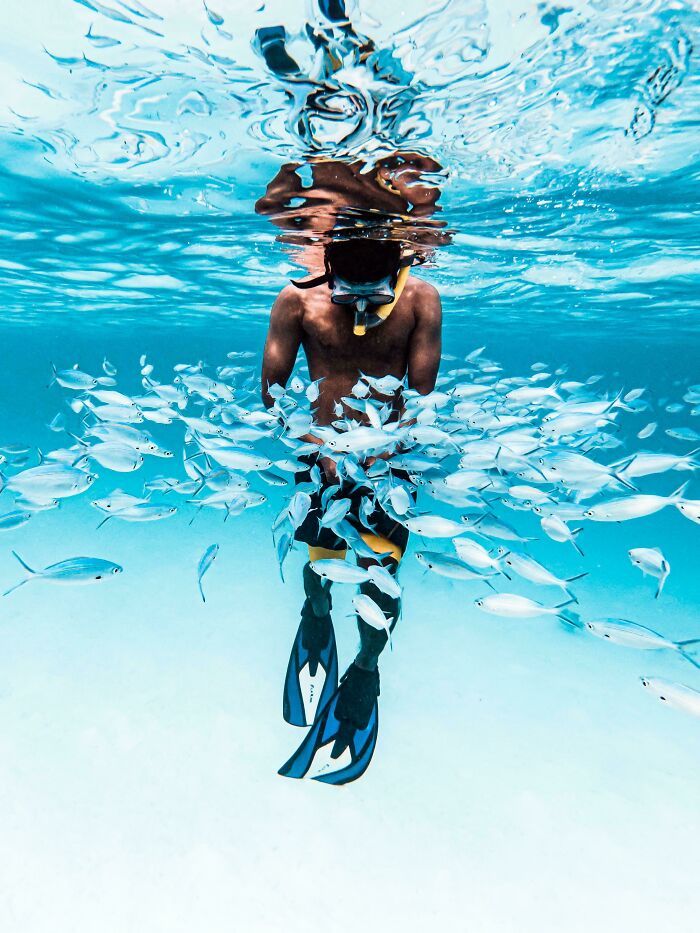 50 fotos incríveis que foram tiradas debaixo d'água 19