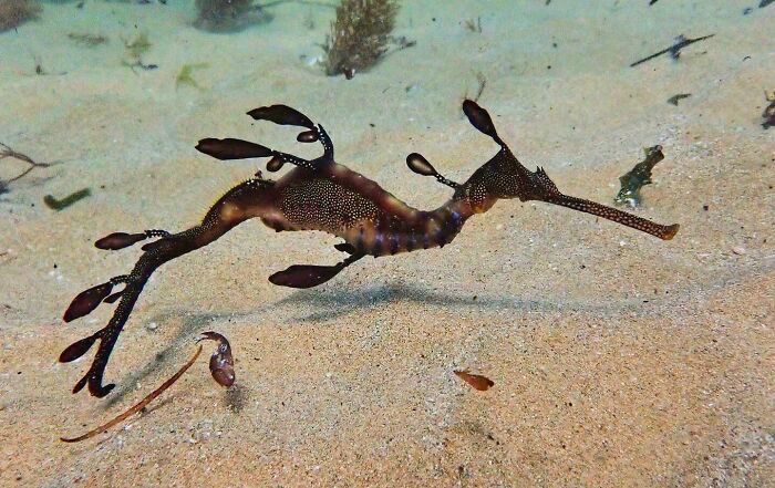 50 fotos incríveis que foram tiradas debaixo d'água 21