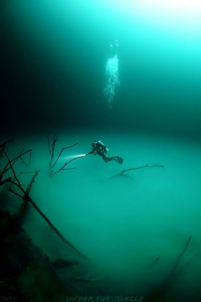 50 fotos incríveis que foram tiradas debaixo d'água 29