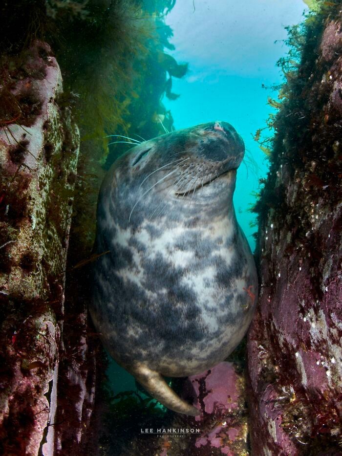 50 fotos incríveis que foram tiradas debaixo d'água 37