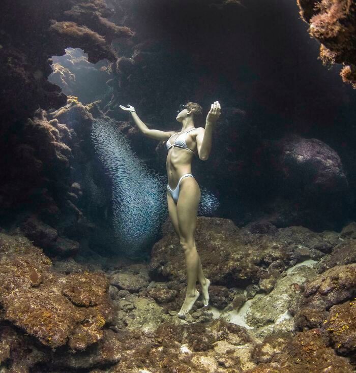50 fotos incríveis que foram tiradas debaixo d'água 49