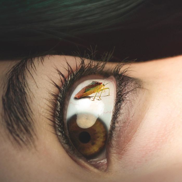 22 fotos surreais que oferecem uma nova perspectiva para as coisas comuns 7