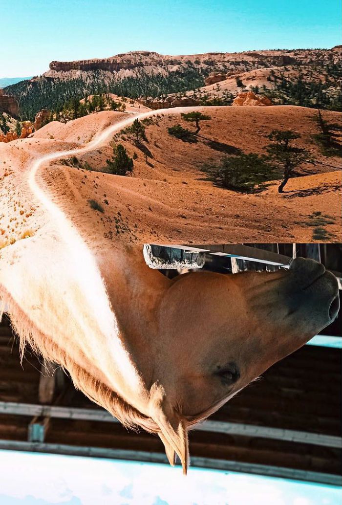 22 fotos surreais que oferecem uma nova perspectiva para as coisas comuns 8