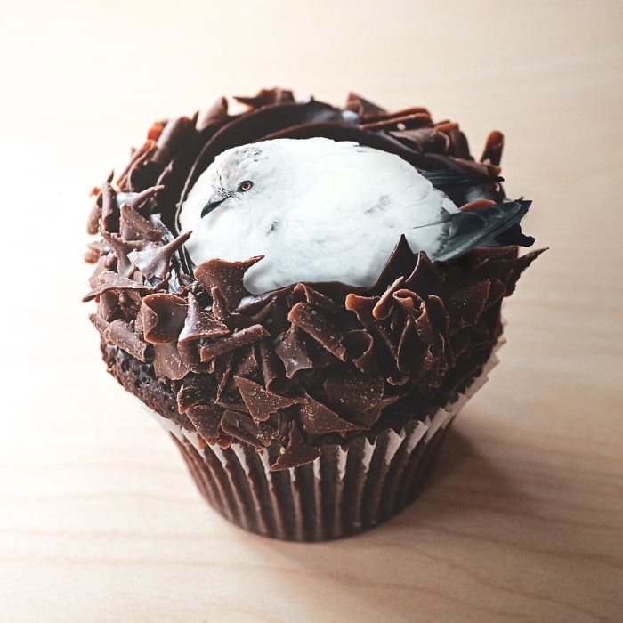 22 fotos surreais que oferecem uma nova perspectiva para as coisas comuns 12