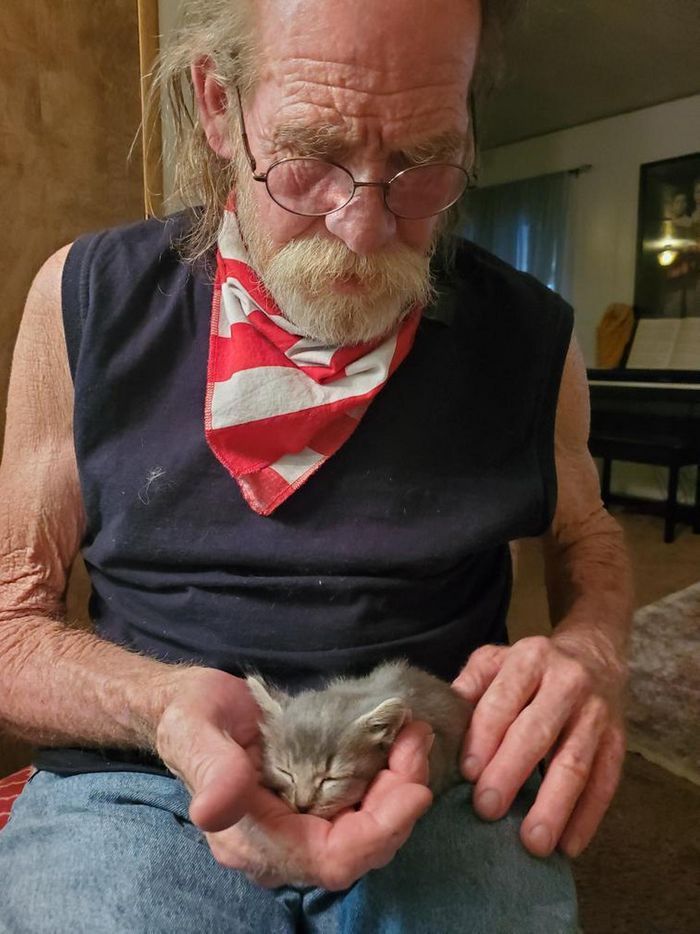 15 pessoas que na verdade não queriam um animal de estimação, mas instantaneamente mudaram de ideia 1