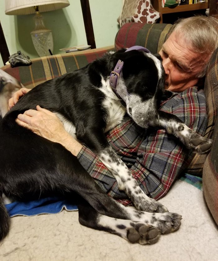 15 pessoas que na verdade não queriam um animal de estimação, mas instantaneamente mudaram de ideia 3