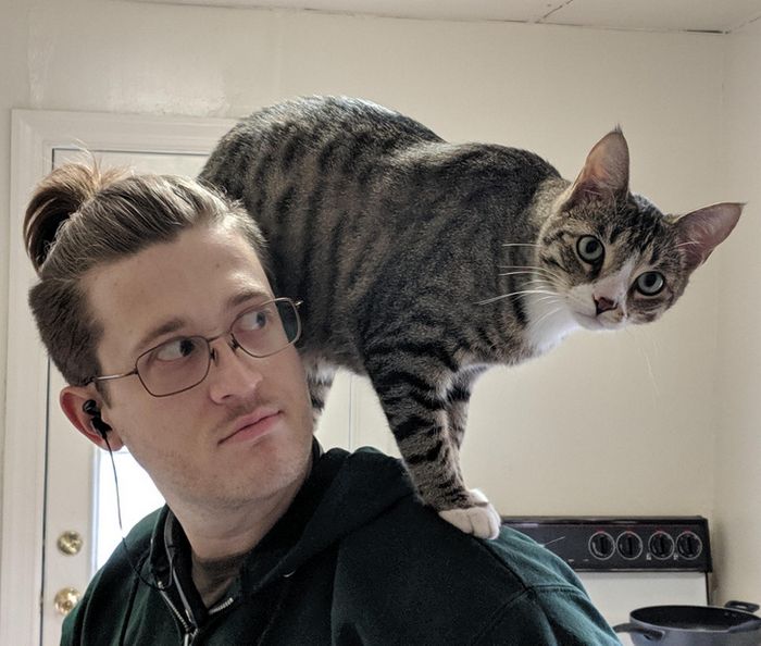 15 pessoas que na verdade não queriam um animal de estimação, mas instantaneamente mudaram de ideia 8